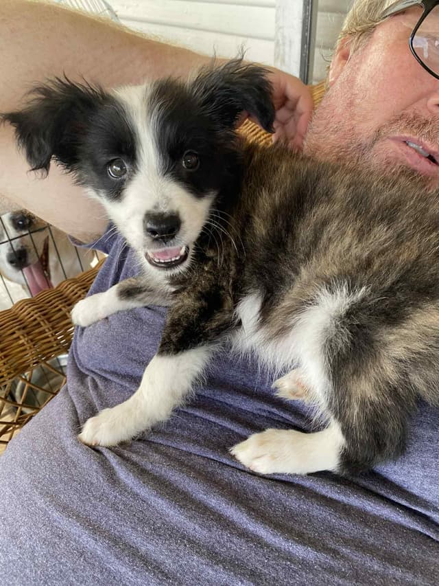 Baby Ernie media 2