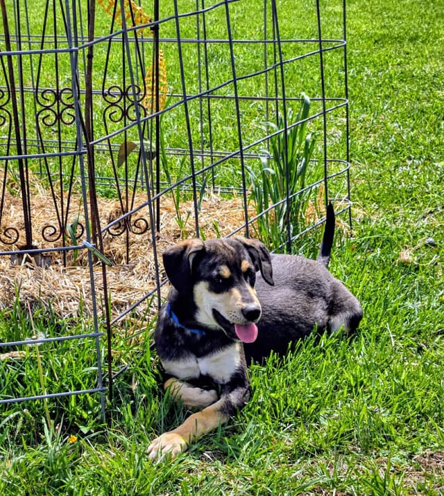 Bisbee media 5