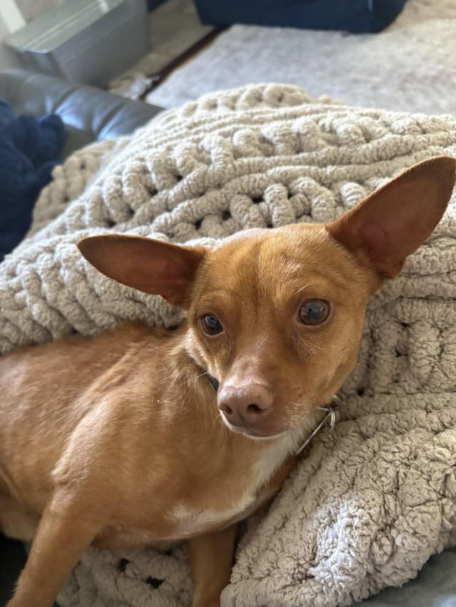 Lil Dude media 2