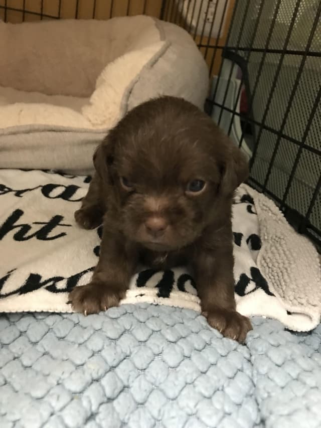 coco - MUST read description / Criteria media 3