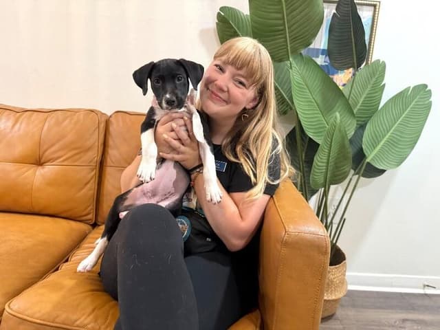 Joan the family pup media 4