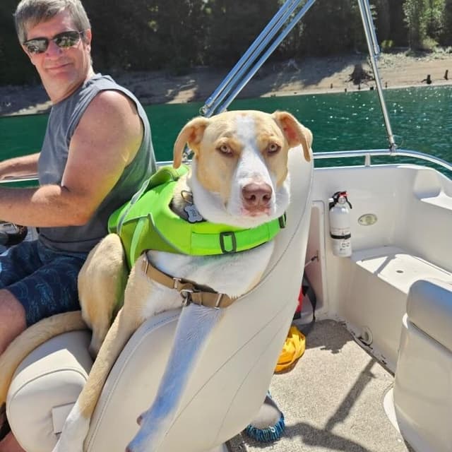 JJ Ryder a Straight Up Dude Dog media 3