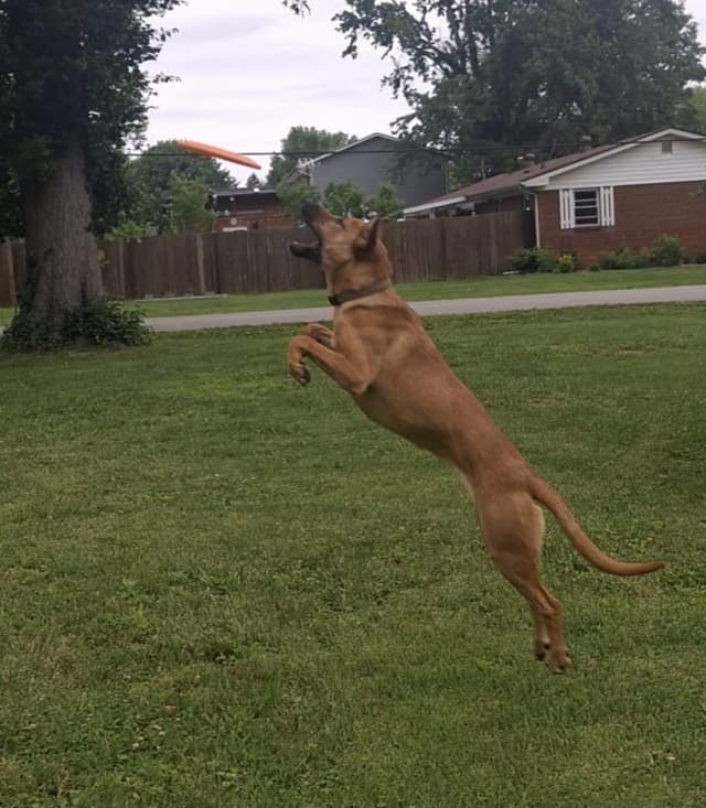 Zoey media 6