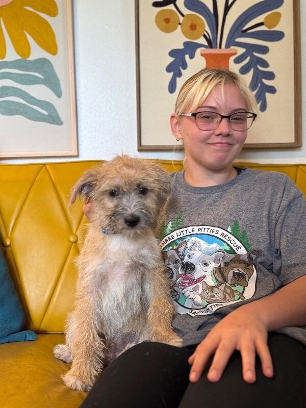 Miles the Most Precious Scruffy media 2