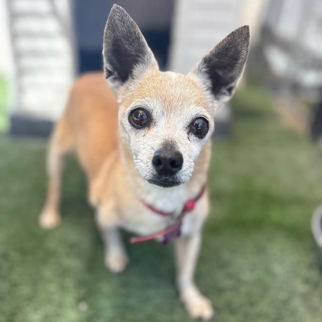 Gramma/A1046843 media 2