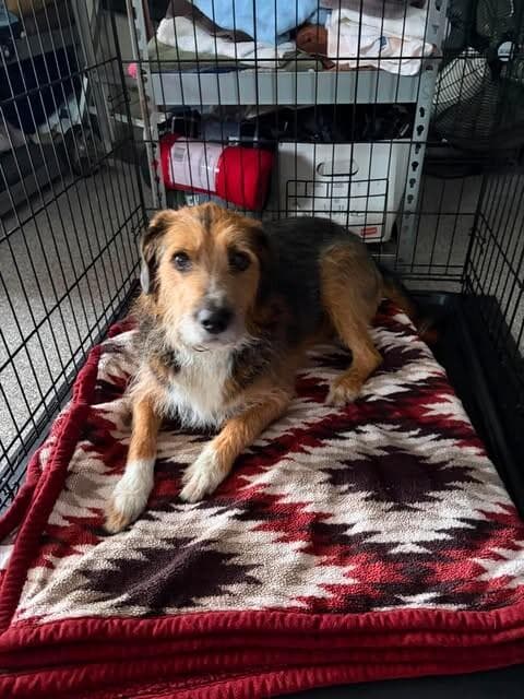 Norman media 2