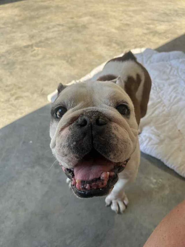 Winston media 3