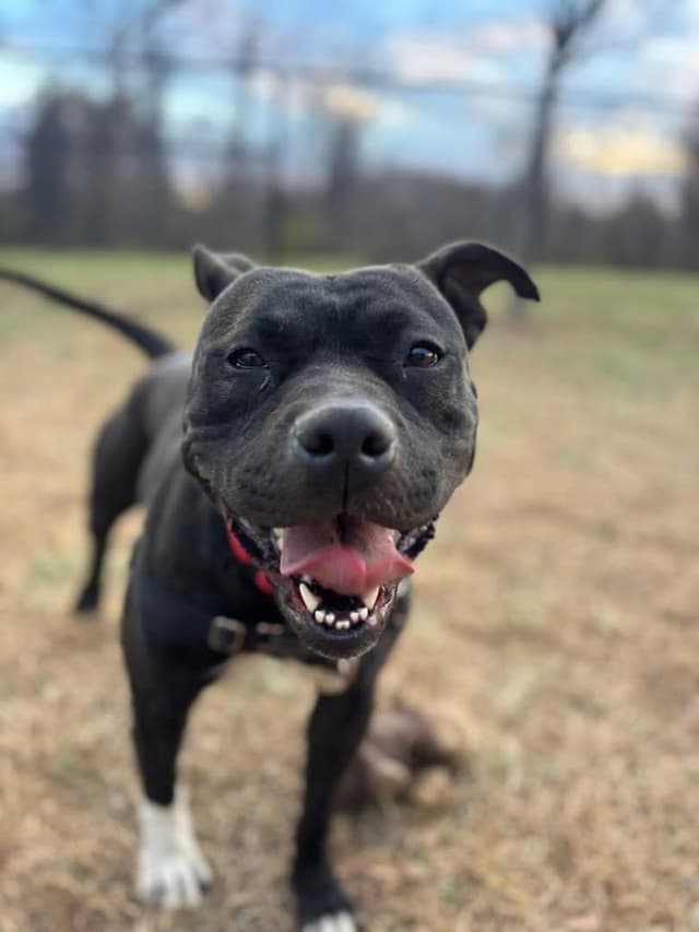 Frannie *Sponsored Adoption media 4
