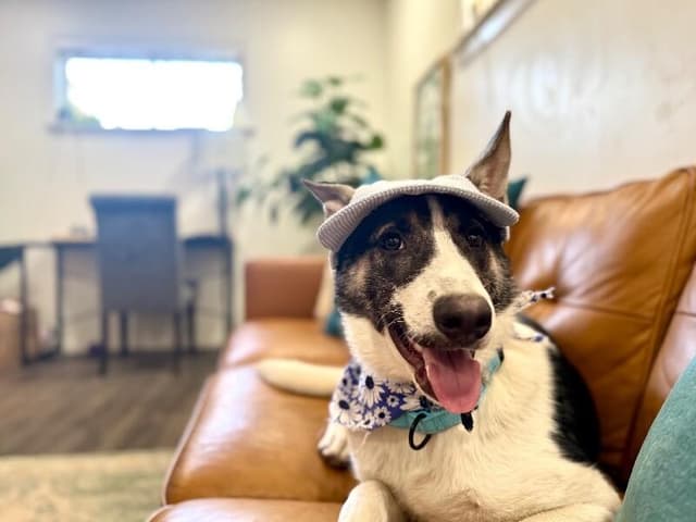 Hazel the Heart Melter media 5
