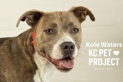 Kole Waters media 3