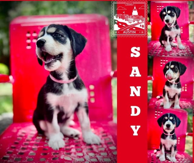 Sandy media 2