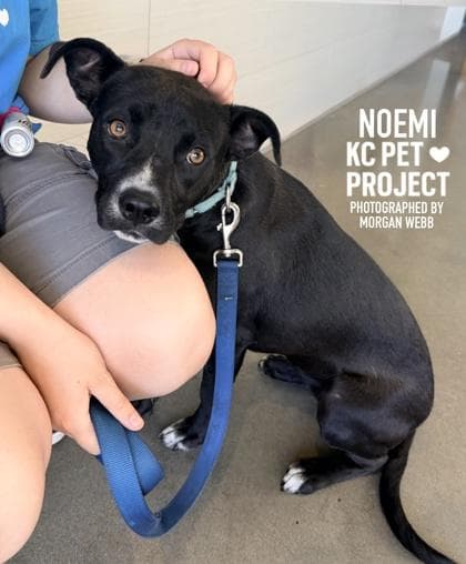 Noemi media 3