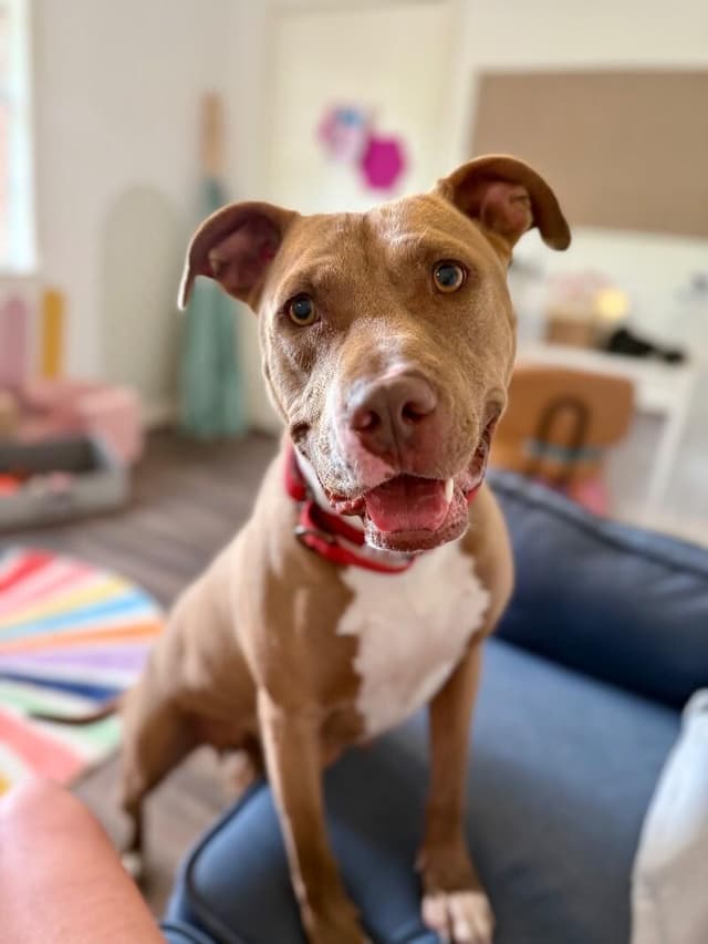 Blinky Baby loves the babies and belly rubs media 2
