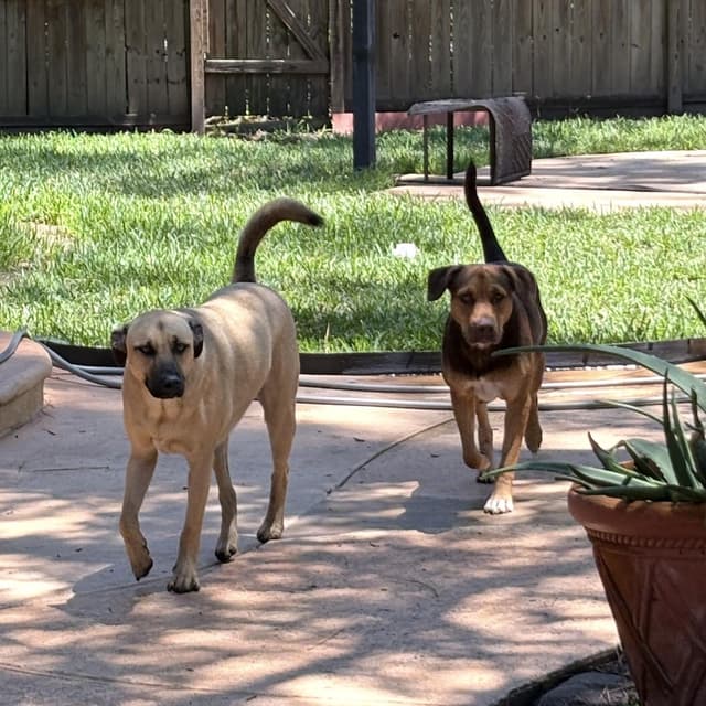 Luna Mae media 4