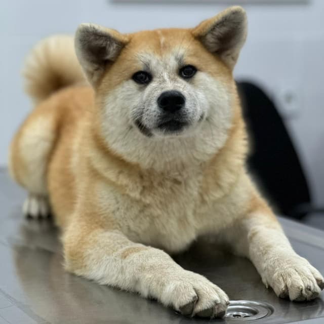 YUKI media 2