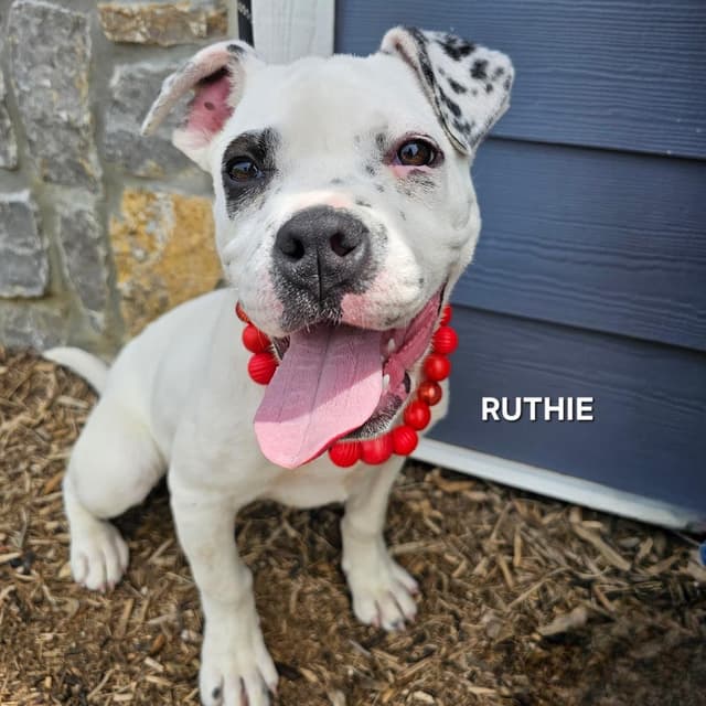 Ruthie media 2