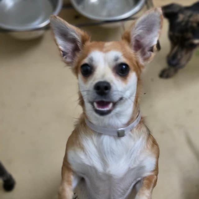 Tilly - Chino Hills Location media 4