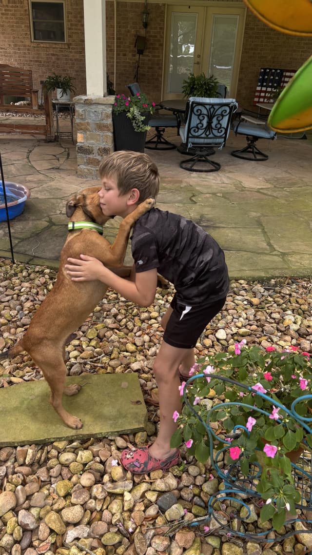 FRITZ (Adorable Puppy, Great Cuddler, Loves Kids and All People, Sweet, Loving, Kisses Available) media 2