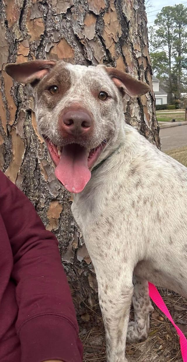 Sky media 6