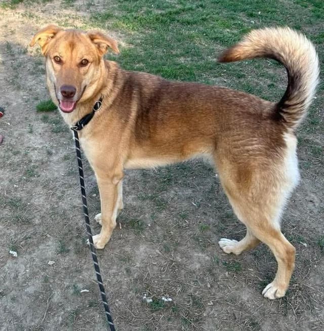 Luna T media 3