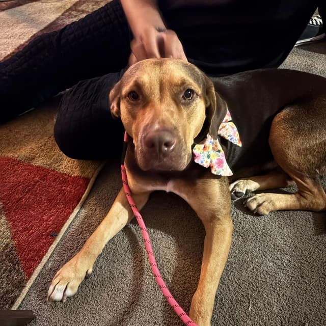 Luna Mae media 3