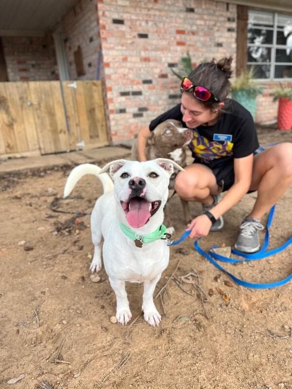 Momo Sugar the Happiest Petite Fella media 2