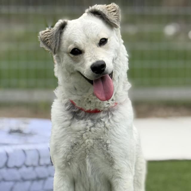 Yuka media 2