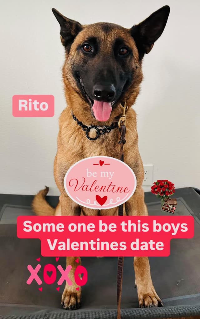 Rito media 4