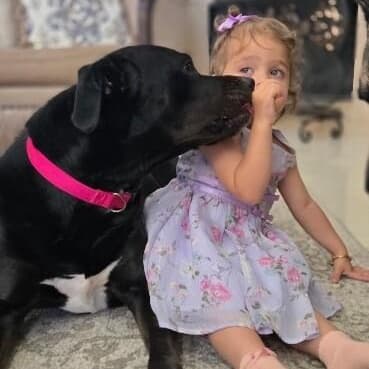 Willow Gentle Family Girl and Ready Bestie media 4