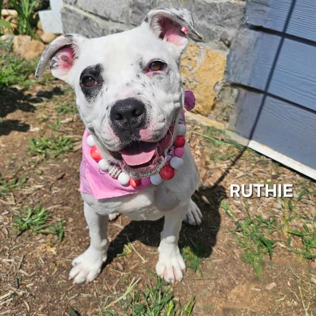 Ruthie media 4