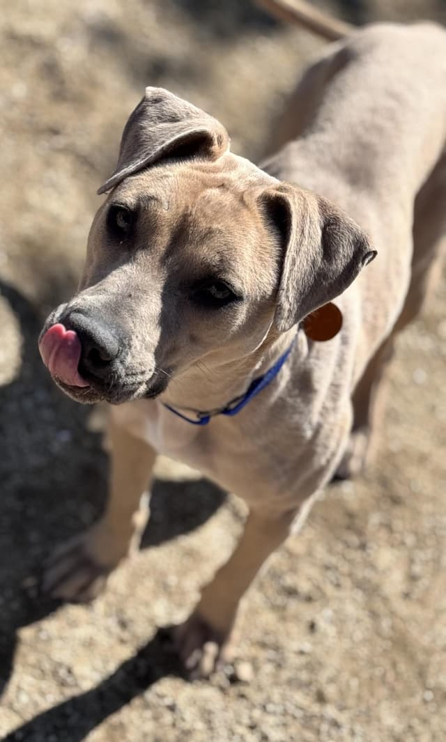 Nylah media 2