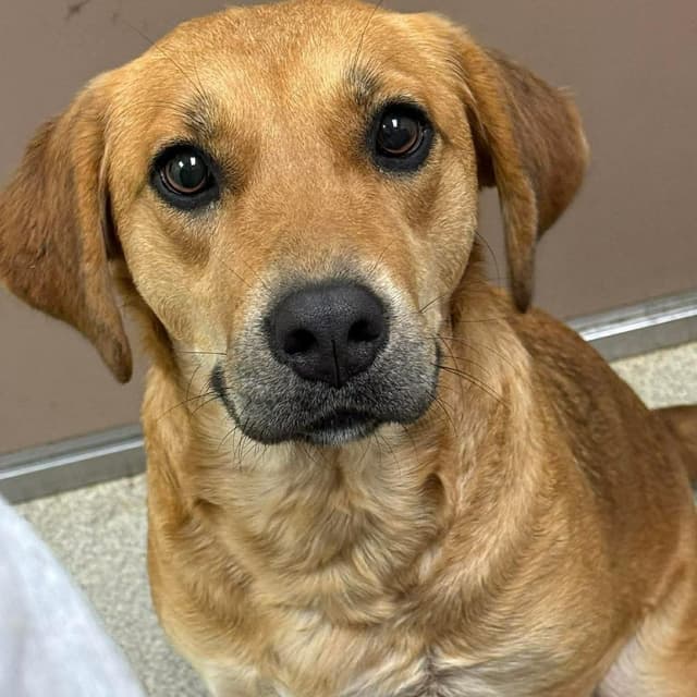 NY Abbey (Foster in Holmes NY) media 2