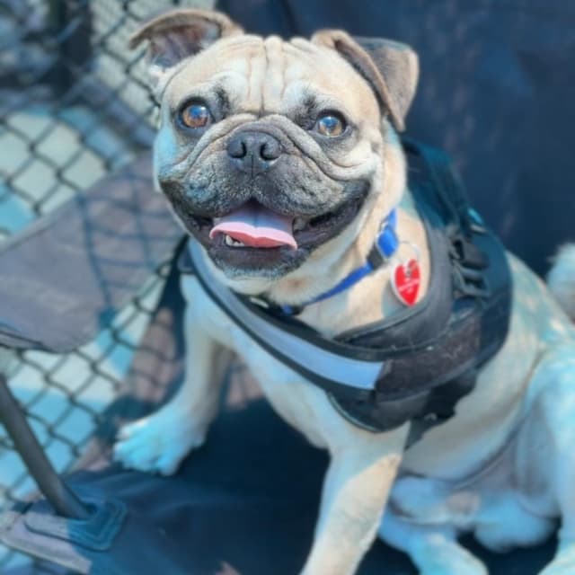 Walter A2278157 media 3