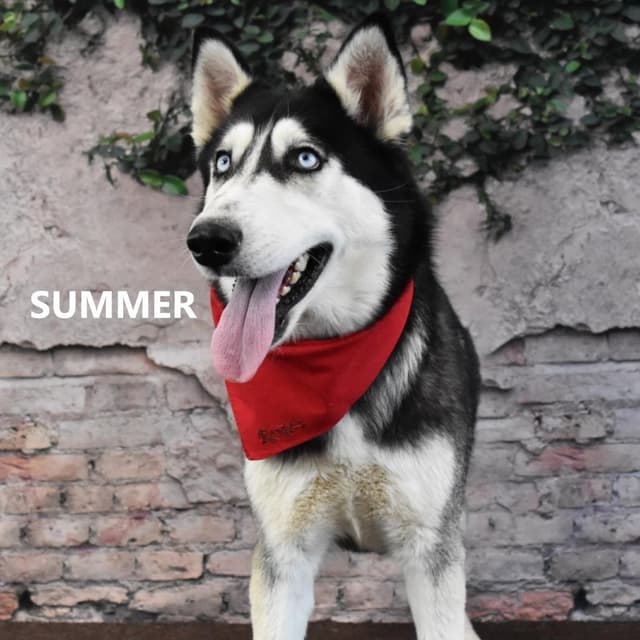 Summer media 3