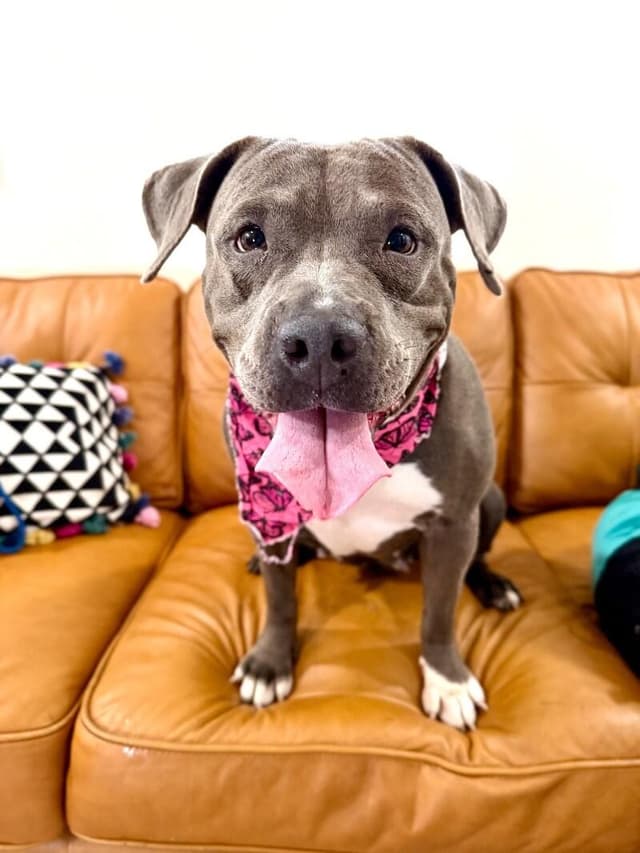 Thea Pretty Baby Loves Her Humans media 5