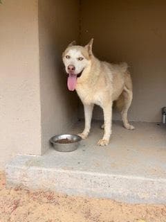 Balto media 3
