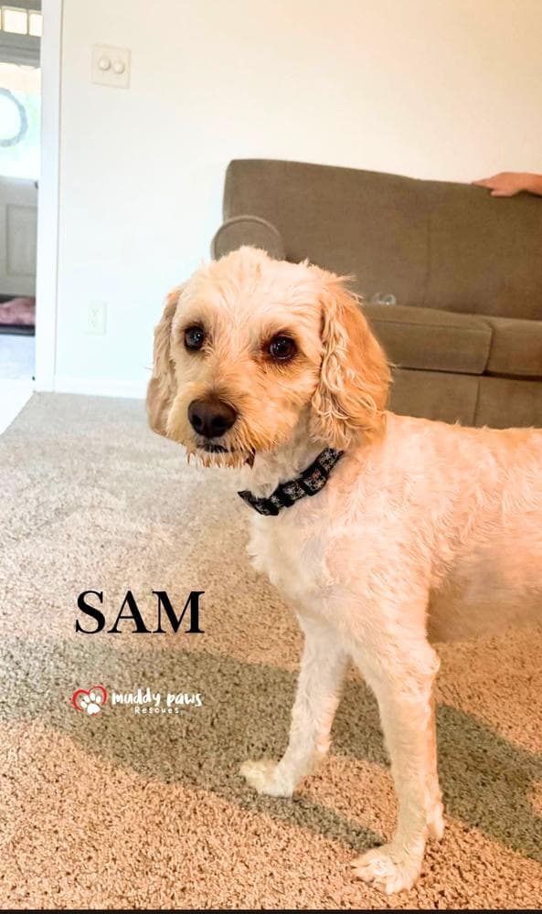 Sam - No Longer Accepting Applications media 3