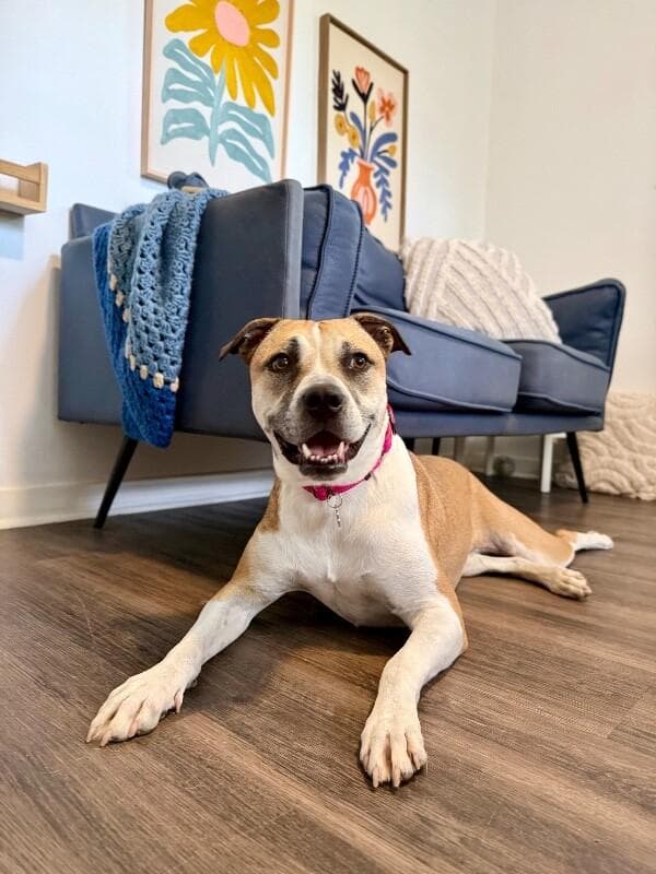 Chanel Belle Your Bestie for Life media 2
