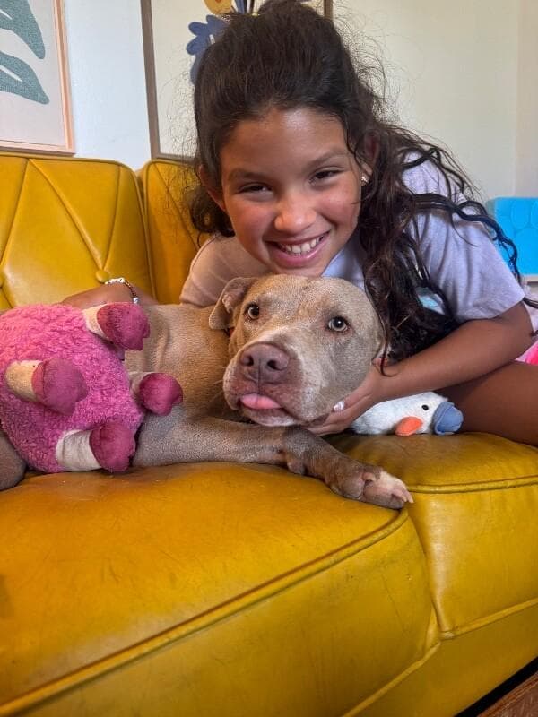 Rumi Cutie the Total Sweetheart media 2
