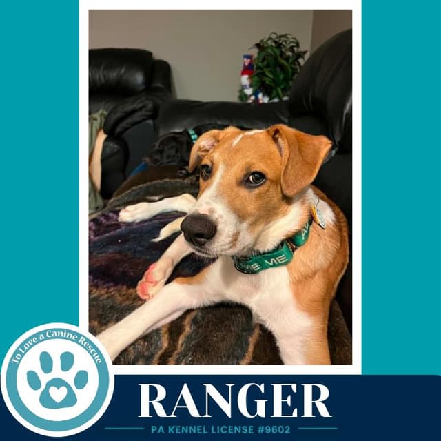 Ranger (Sweetie's Sweets) 062726 media 2