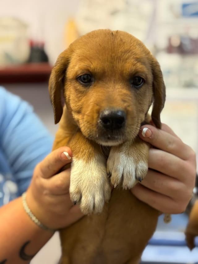 Sadie (Truley) media 2
