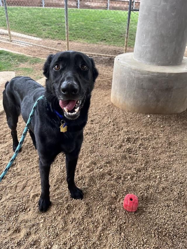 Cash* A217167 media 6