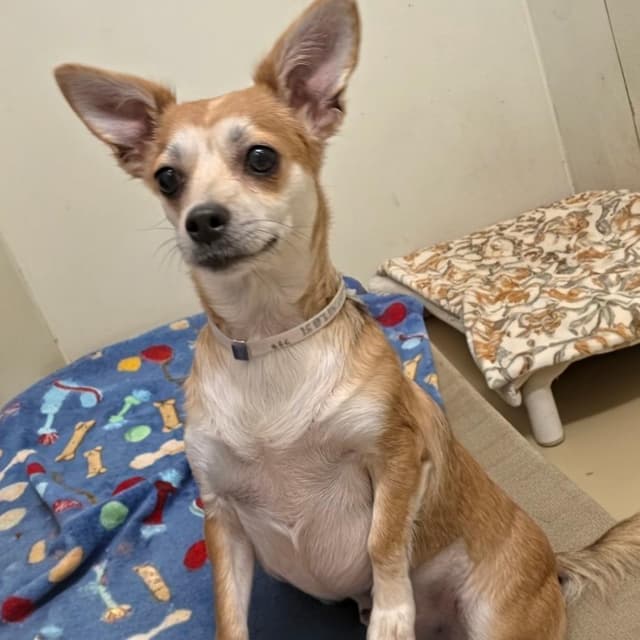 Tilly - Chino Hills Location media 6