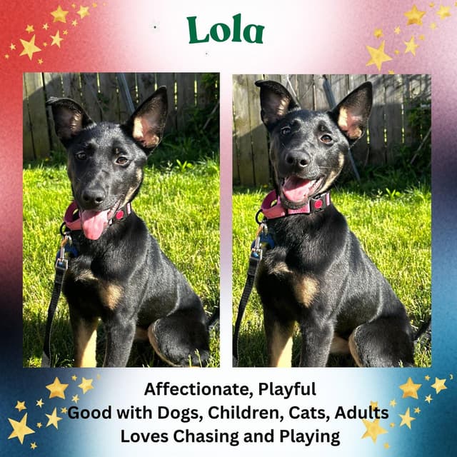 Lola media 3