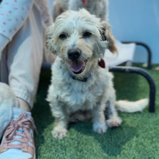 Clover A2276012 media 6