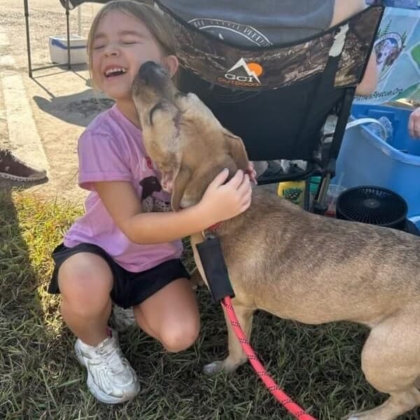 Rainie Baby the pocket sized Pittie lady loves to play with the littles media 4