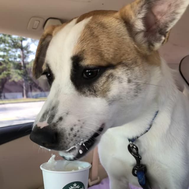 Sammy (Matagorda Boys) media 5