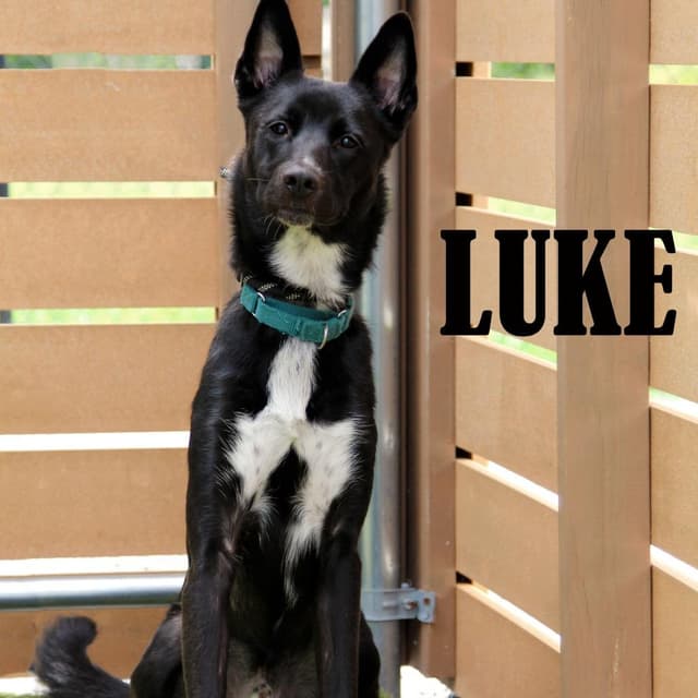 Luke media 3