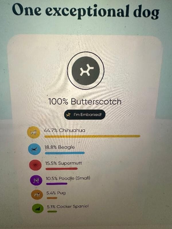 Cocoa media 2