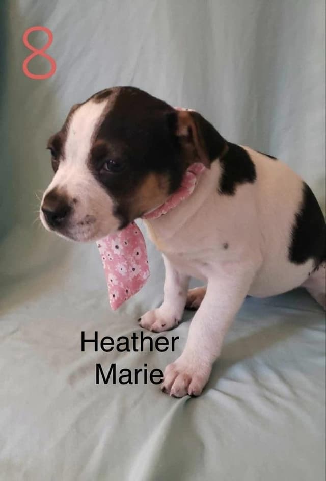 Heather Marie (Kaya) media 3